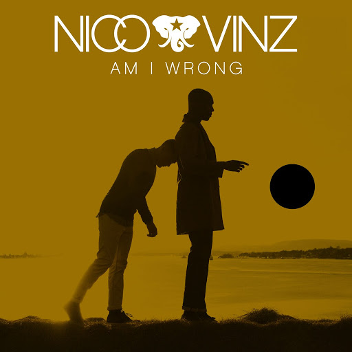 Am I Wrong – Nico & Vinz